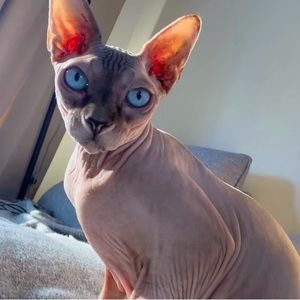 Hello from Zaharushka:)